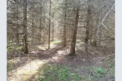 Tbd- Parcel D Sleepy Hollow Road, Brainerd, MN 56401 - Photo 3