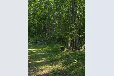 Tbd Birchcurve Road, Randall, MN 56475 - Photo 1