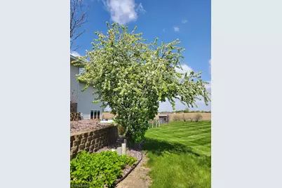 21280 93rd Avenue N, Corcoran, MN 55340 - Photo 7