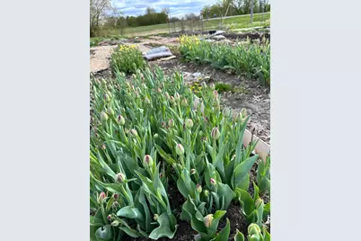 21392 Csah 18, Dassel, MN 55325 - Photo 11