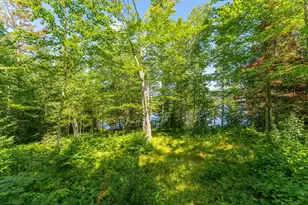 2941 Makkyla Trail, Babbitt, MN 55706 - Photo 3