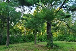 10125 N Garden Ln NE, Bemidji, MN 56601 - Photo 7