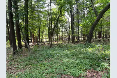 Tbd Elmcrest Avenue, Stacy, MN 55079 - Photo 5