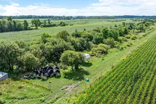13727 Co Rd 32, Bertha, MN 56437 - Photo 21