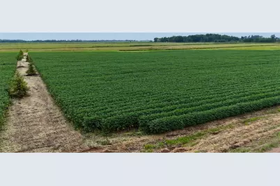 Tbd 115th Street NE, Foley, MN 56329 - Photo 21