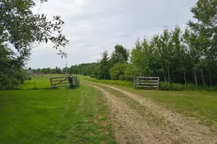 3401 Buckskin Rd NE, Carlos, MN 56319 - Photo 1