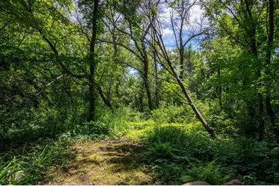 4749 S Lake Sarah Drive, Independence, MN 55359 - Photo 55
