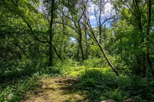 4749 S Lake Sarah Dr, Independence, MN 55359 - Photo 55