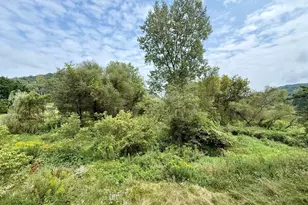 19996 Hwy 248, Rollingstone, MN 55969 - Photo 3