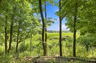 8005 Turtle Creek Blvd, Minnetrista, MN 55375 - Photo 35