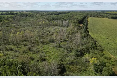Tbd Wadena Line Road, Wadena, MN 56482 - Photo 17