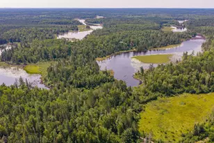 953 Kelly Trail, Isabella, MN 55607 - Photo 57