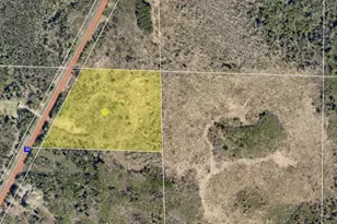 10252 State Hwy 65, Swan River, MN 55784 - Photo 1