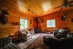 6991 Crane Lake Rd, Crane Lake, MN 55725 - Photo 7