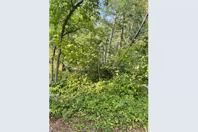 29890 Ranchette Drive, Pequot Lakes, MN 56472 - Photo 5