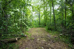 7Xxx 200th St, Milaca, MN 56353 - Photo 1
