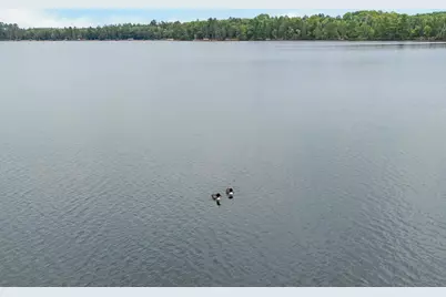 36864 Goodrich Lane, Crosslake, MN 56442 - Photo 47