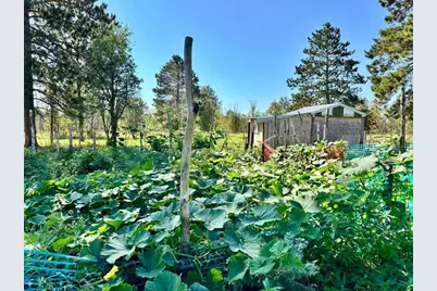 12435 340th Street, Menahga, MN 56464 - Photo 63