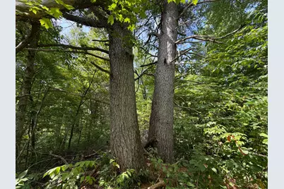 Lot 2 Smith Road, Couderay, WI 54828 - Photo 9