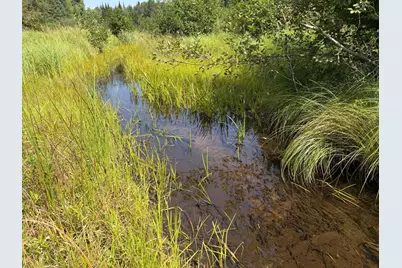 Lot 2 Smith Road, Couderay, WI 54828 - Photo 17