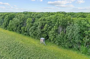33750 175th St NE, Foley, MN 56329 - Photo 13