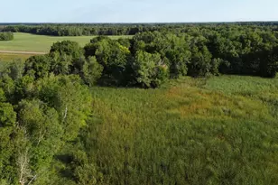 6370 County Rd 5 NW, Isanti, MN 55040 - Photo 5