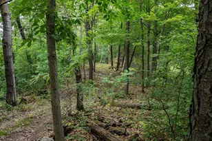 20370 Ostrum Ave N, Marine on Saint Croix, MN 55047 - Photo 49