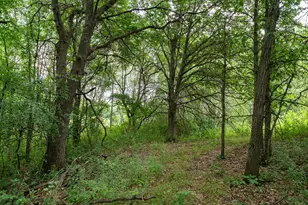 20370 Ostrum Ave N, Marine on Saint Croix, MN 55047 - Photo 33