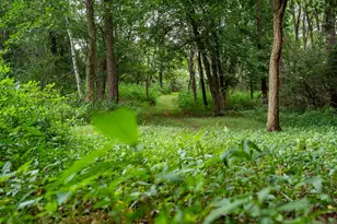 20370 Ostrum Ave N, Marine on Saint Croix, MN 55047 - Photo 53