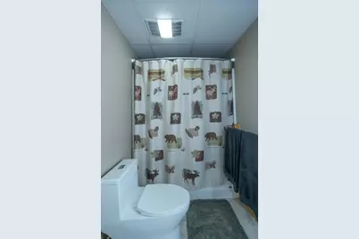 10221 Timber Ridge Drive, Pillager, MN 56473 - Photo 51
