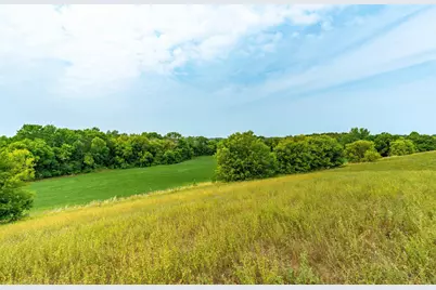 Tbd 280th Avenue, Underwood, MN 56586 - Photo 5