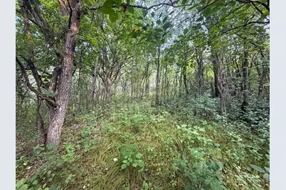Tbd 299th Ave, Millville, MN 55041 - Photo 25