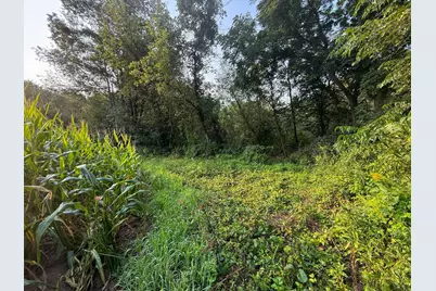 Tbd 299th Avenue, Millville, MN 55041 - Photo 9