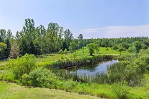 40617 Lowden Ave, North Branch, MN 55056 - Photo 133