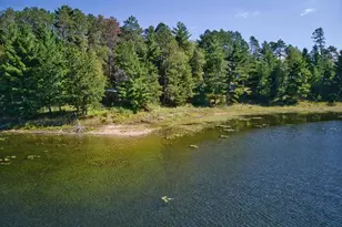 36476 Little Smith Rd, Marcell, MN 56657 - Photo 55
