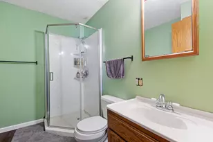 725 Mineral Sp Road NE, Owatonna, MN 55060 - Photo 19