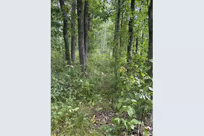 Xxx Meadowview Road, Brainerd, MN 56401 - Photo 3