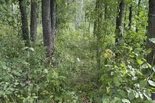 Xxx Meadowview Rd, Brainerd, MN 56401 - Photo 3