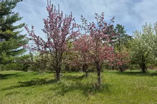 13062 230th St, Park Rapids, MN 56470 - Photo 45