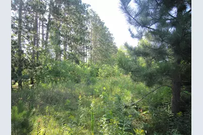 Lot 1, Blk 1 Parklands Lane NW, Laporte, MN 56461 - Photo 15