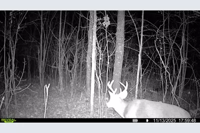 Tbd Highway 23, Brook Park, MN 55007 - Photo 25