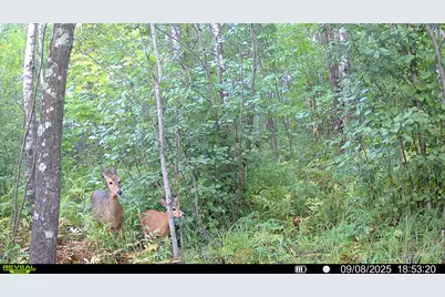Tbd Highway 23, Brook Park, MN 55007 - Photo 29