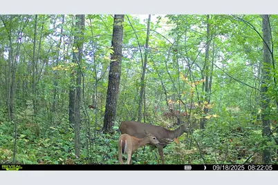 Tbd Highway 23, Brook Park, MN 55007 - Photo 23