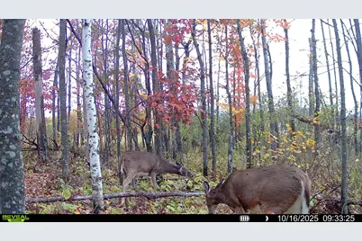 Tbd Highway 23, Brook Park, MN 55007 - Photo 27