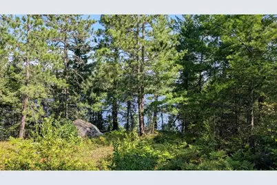 4010 Kennedy Road, Cook, MN 55723 - Photo 39
