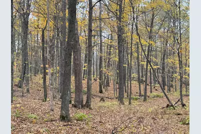 Tbd 240th Street, Luck, WI 54853 - Photo 39