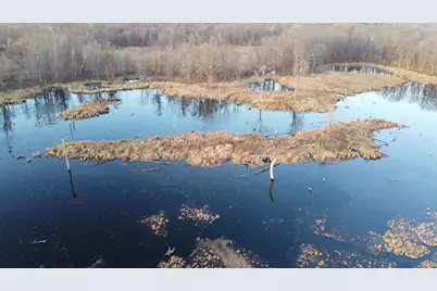Tbd 240th Street, Luck, WI 54853 - Photo 17