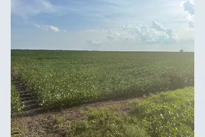 62495 310th Street and 620th, Chokio, MN 56221 - Photo 1