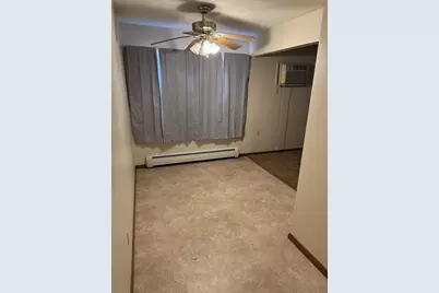 305 N Van Buren Avenue, Springfield, MN 56087 - Photo 5
