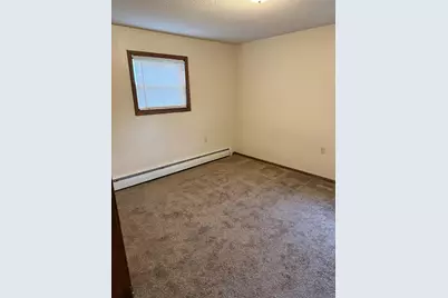 305 N Van Buren Avenue, Springfield, MN 56087 - Photo 3